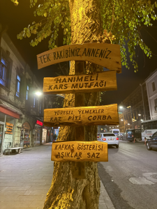 KARS-SARIKAMIS-ARDAHAN-12