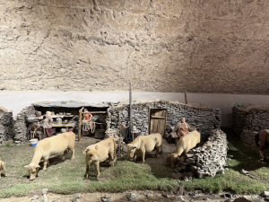 KARS-SARIKAMIS-ARDAHAN-53