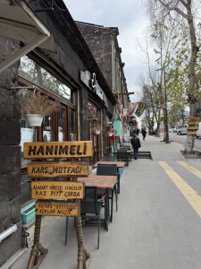 KARS-SARIKAMIS-ARDAHAN-57